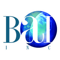 BAI Inc - Meeting Client Challenges with Vision and Innovation